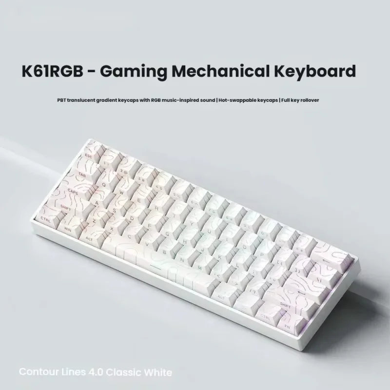 X68 HE Rapid Trigger Keyboard 8000Hz Magnetic 0.01mm RT Accuracy Wired Ergonomics Gaming Esports Keyboard Win Macos